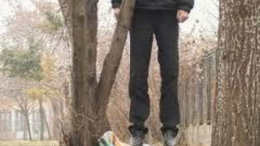 Tânăr găsit spânzurat la marginea oraşului Tânăr găsit spânzurat la marginea oraşului