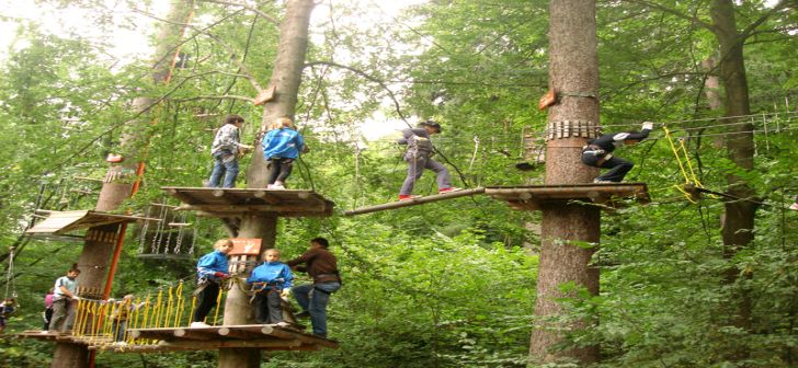 Singurul parc de aventură din Banat, aproape de Lugoj Singurul parc de aventură din Banat, aproape de Lugoj
