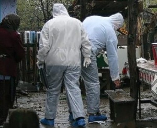 Crima care a oripilat România: O familie întreagă a fost ucisă pentru bani Crima care a oripilat România: O familie întreagă a fost ucisă pentru bani