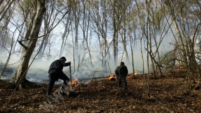 Pompierii militari la datorie: 38 de situaţii de urgenţă înregistrate în ultimele 24 de ore în Caraş-Severin