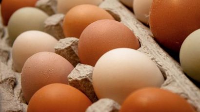 Niveluri scăzute de fipronil au fost descoperite în ouă