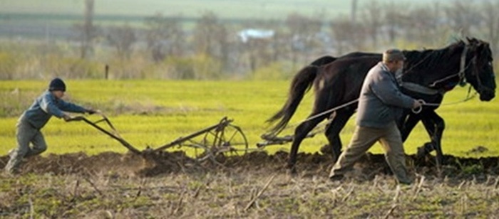Primăriile din Caraş-Severin întârzie campania agricolă de primăvară Primăriile din Caraş-Severin întârzie campania agricolă de primăvară