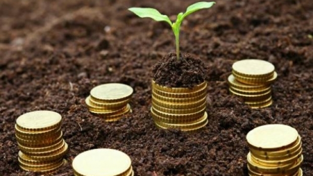 Subvenţiile APIA pe ultima sută de metri. Astăzi este ultima zi, la liber Subvenţiile APIA pe ultima sută de metri. Astăzi este ultima zi, la liber