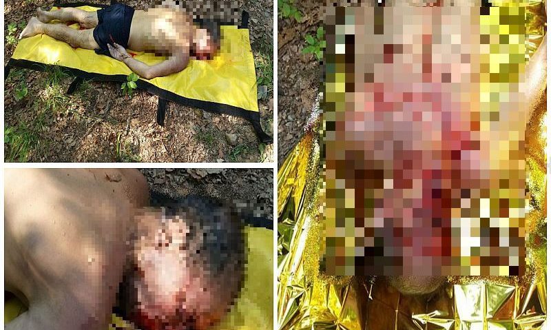 Un bărbat s-a lovit la cap și a murit înecat într-o cascadă situată în apropiere de Lugoj Un bărbat s-a lovit la cap și a murit înecat într-o cascadă situată în apropiere de Lugoj