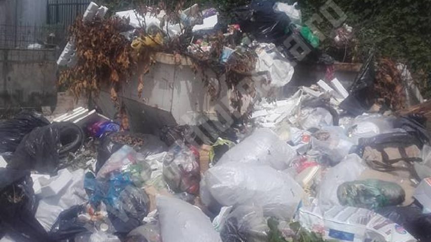 Mehedinţi: Stare de alertă la Orşova din cauza necolectării deşeurilor menajere Mehedinţi: Stare de alertă la Orşova din cauza necolectării deşeurilor menajere