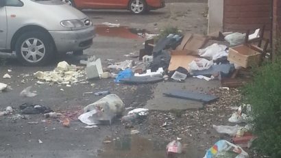 Tichia de mărgăritar