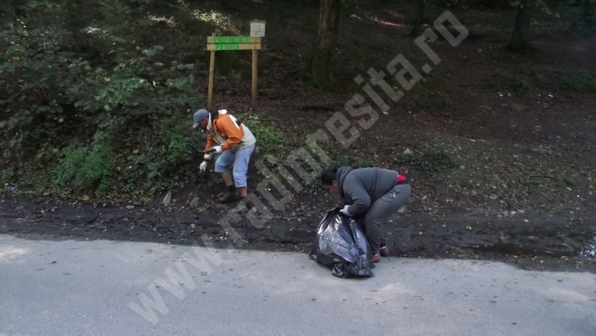 Vine primăvara pe Valea Cernei. Săptămâna aceasta începe marea curăţenie Vine primăvara pe Valea Cernei. Săptămâna aceasta începe marea curăţenie