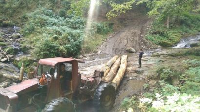 [AUDIO] Clienții Direcției silvice furnizează „cacao” în comunele cărăşene