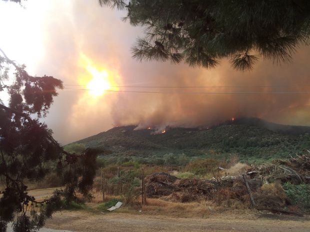 Incendiile le strică vacanţa turiştilor din Grecia. Stare de urgență în insula Thassos Incendiile le strică vacanţa turiştilor din Grecia. Stare de urgență în insula Thassos