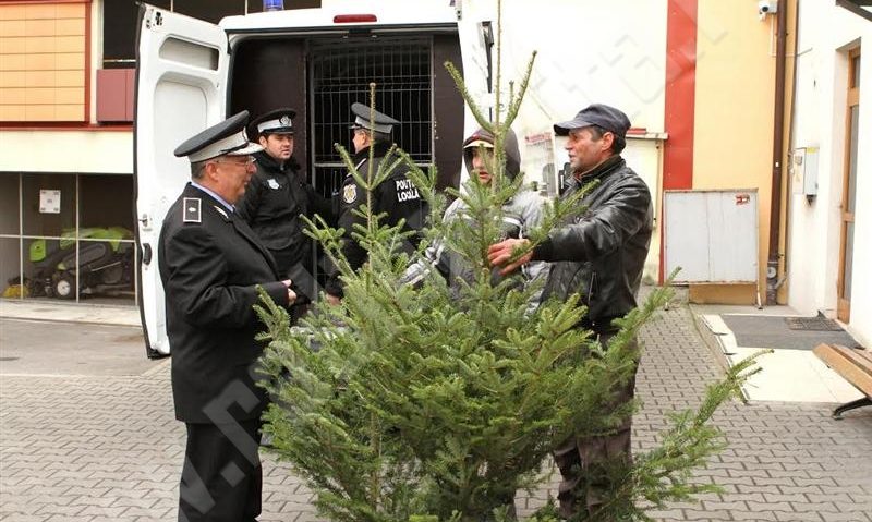 1 Decembrie deschide sezonul controalelor la pomii de iarnă în Caraş-Severin 1 Decembrie deschide sezonul controalelor la pomii de iarnă în Caraş-Severin