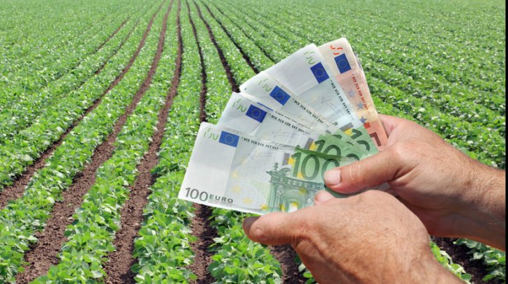 Un primar din Caraş-Severin s-a dovedit extrem de inventiv doar-doar scapă de acuzaţiile de fraudare a fondurilor europene Un primar din Caraş-Severin s-a dovedit extrem de inventiv doar-doar scapă de acuzaţiile de fraudare a fondurilor europene
