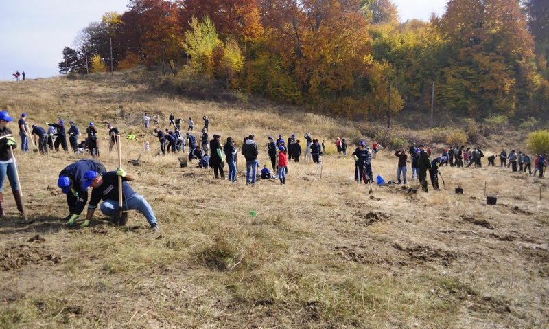 S-a dat START-ul în Campania împăduririlor de toamnă în Caraş-Severin S-a dat START-ul în Campania împăduririlor de toamnă în Caraş-Severin