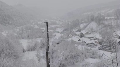Ninsorile au făcut ravagii in Judeţul Timiş