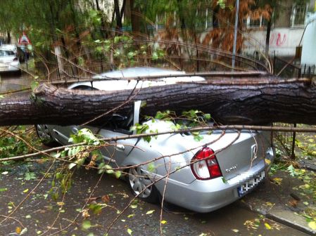 Vântul puternic de aseară a făcut ravagii în vestul ţării: Mai mulţi stâlpi şi arbori au căzut pe carosabil Vântul puternic de aseară a făcut ravagii în vestul ţării: Mai mulţi stâlpi şi arbori au căzut pe carosabil