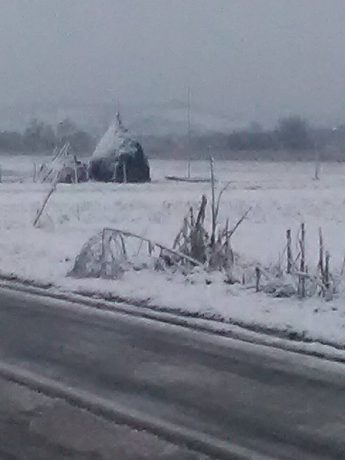 Prognoza meteo pentru zilele următoare. Iată cum va fi vremea în Banat, în prima zi a anului 2017 Prognoza meteo pentru zilele următoare. Iată cum va fi vremea în Banat, în prima zi a anului 2017