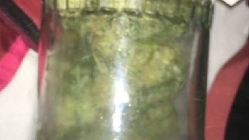 Pericol pe drumurile din Timişoara. Au urcat la volan după ce au consumat droguri şi alcool Pericol pe drumurile din Timişoara. Au urcat la volan după ce au consumat droguri şi alcool