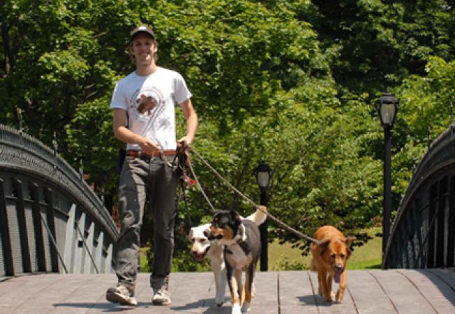 Amenzi usturătoare pentru proprietarii de animale care lasă dejecţiile în locurile publice Amenzi usturătoare pentru proprietarii de animale care lasă dejecţiile în locurile publice
