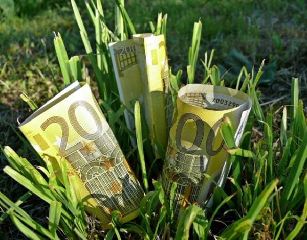 Fermierii primesc primele subvenții pe vegetal. Peste 12.000 de agricultori autorizaţi la plată în Caraş-Severin Fermierii primesc primele subvenții pe vegetal. Peste 12.000 de agricultori autorizaţi la plată în Caraş-Severin