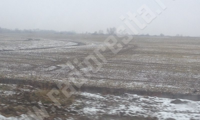 Semănatul timpuriu aduce recoltă bogată în Caraş-Severin, afirmă specialiştii în agricultură Semănatul timpuriu aduce recoltă bogată în Caraş-Severin, afirmă specialiştii în agricultură