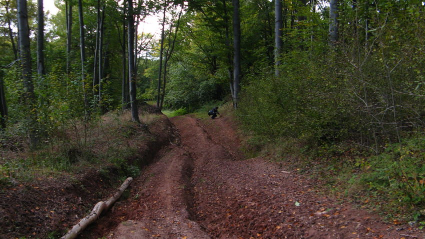 Vânătorii repară drumurile forestiere şi potecile din fondurile cinegetice Vânătorii repară drumurile forestiere şi potecile din fondurile cinegetice