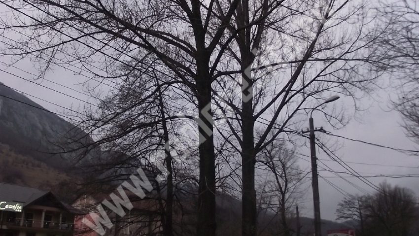 Primăria oraşului Băile Herculane curăţă ce turiștii murdăresc Primăria oraşului Băile Herculane curăţă ce turiștii murdăresc
