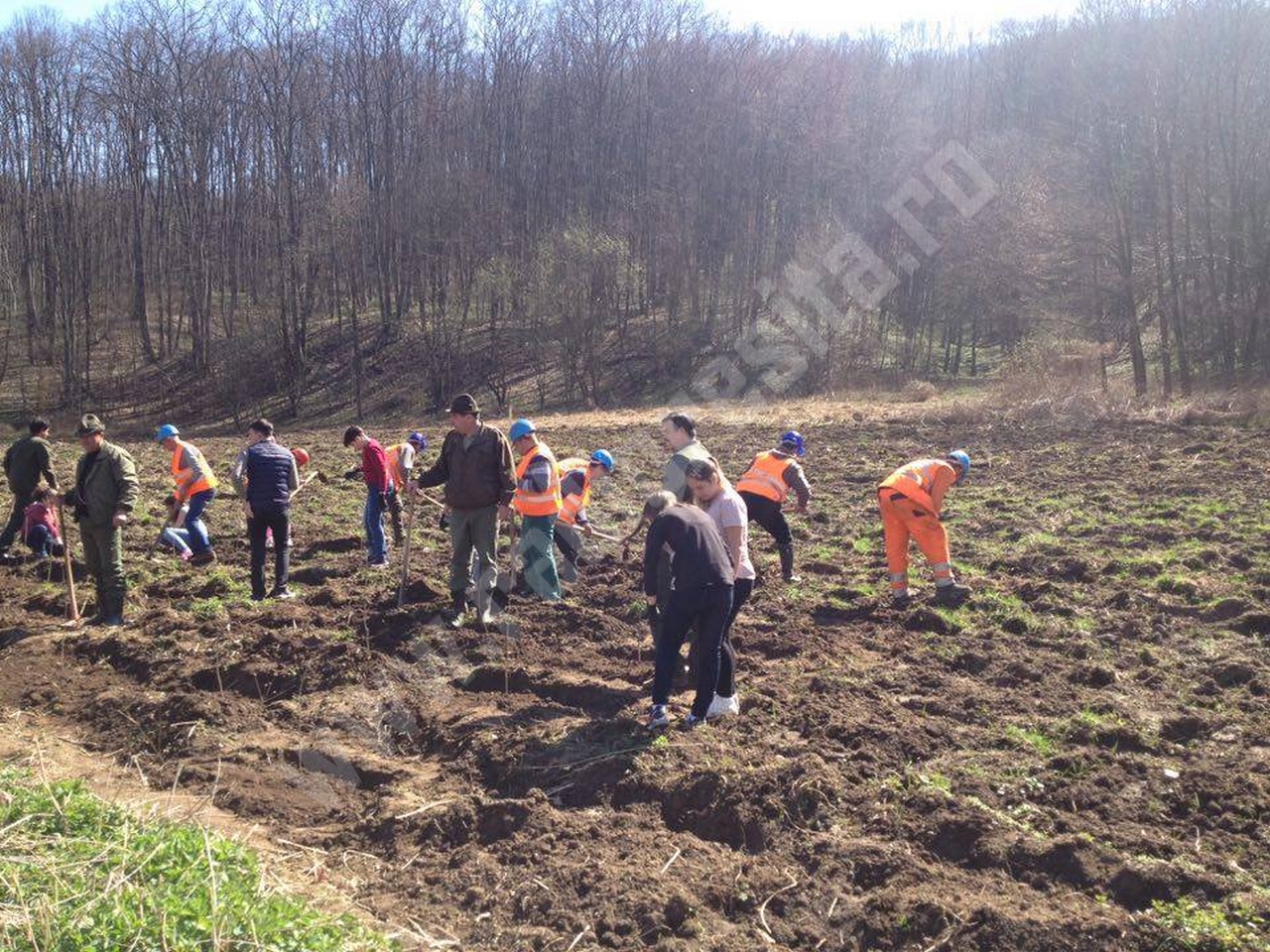 Luna Plantării Arborilor 2026: startul oficial al campaniei de împăduriri din Caraș-Severin la Oţelu Roşu