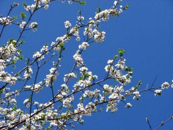 Veşti bune de la meteorologi. Când vom avea soare şi temperaturi de 20 de grade Veşti bune de la meteorologi. Când vom avea soare şi temperaturi de 20 de grade
