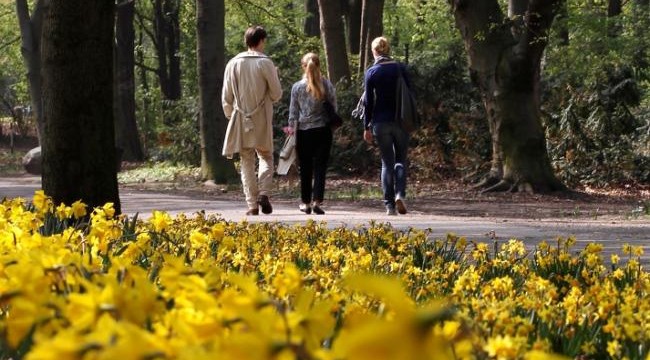 Temperaturi de vară în Banat. Astăzi, 25 de grade în Vest Temperaturi de vară în Banat. Astăzi, 25 de grade în Vest