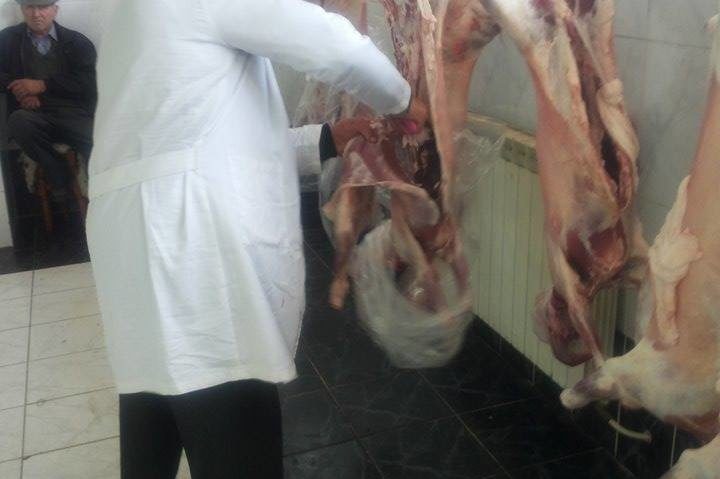 Mieii pot fi sacrificaţi în doar câteva centre temporare în Caraş-Severin Mieii pot fi sacrificaţi în doar câteva centre temporare în Caraş-Severin