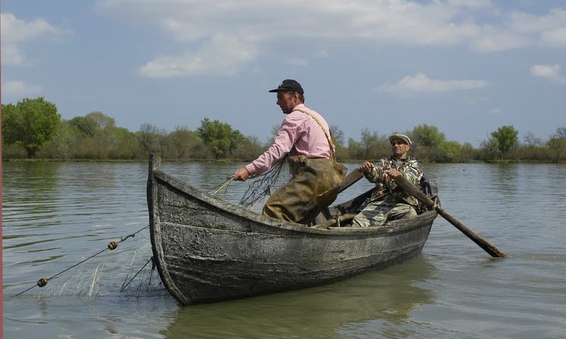 Bucurie pentru pescari: Fir întins la… Dunăre Bucurie pentru pescari: Fir întins la… Dunăre