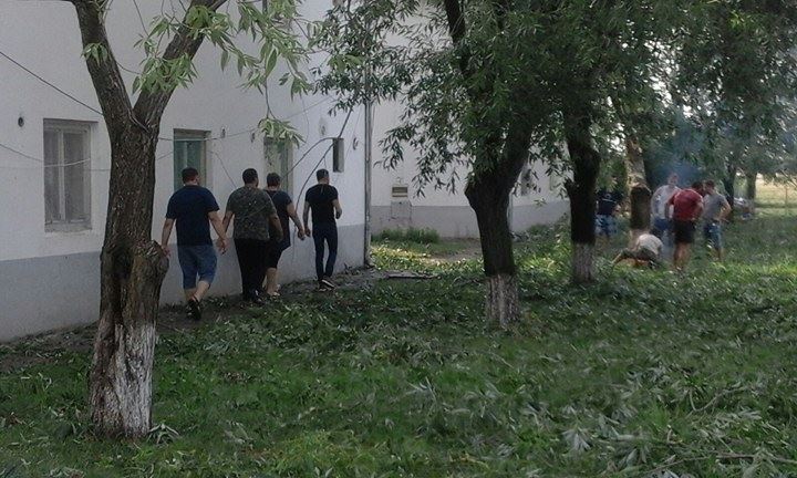 Furtună în vestul țării. La Arad intervențiile sunt în toi! Furtună în vestul țării. La Arad intervențiile sunt în toi!