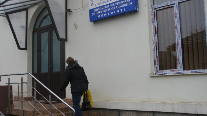 Deconturi nereale la o direcţie sanitar-veterinară din sud-vest Deconturi nereale la o direcţie sanitar-veterinară din sud-vest