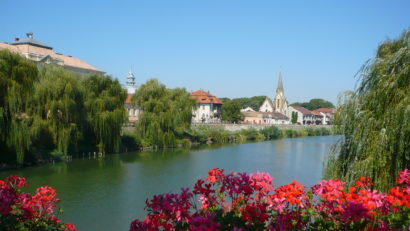 Ce se fură de pe domeniul public al Lugojului