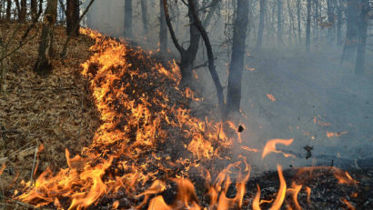 Incendii de pădure în Portugalia şi Corsica, cu foc pe mii de hectare