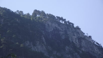 Pădurile de pe Valea Cernei sunt ocolite de incendii
