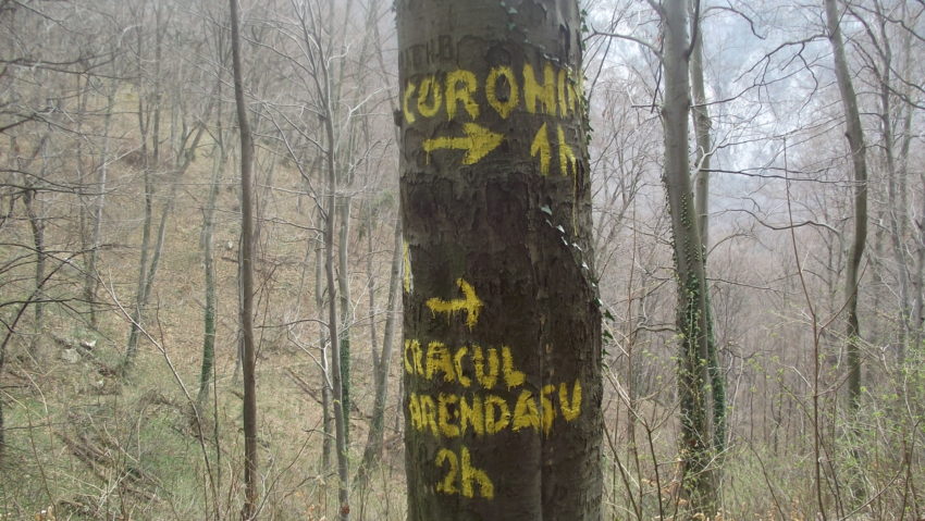 Atenție sporită pe traseele de pe Valea Cernei Atenție sporită pe traseele de pe Valea Cernei