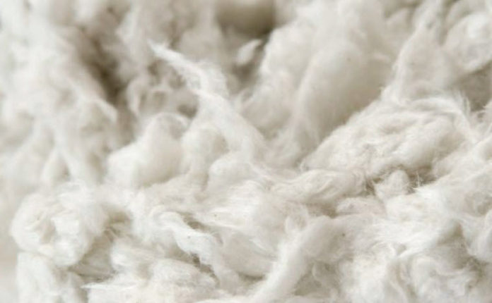 Ajutoarele pentru ciobani de 1 leu/ kg de lână vândută, cu priză la oierii din Caraş-Severin Ajutoarele pentru ciobani de 1 leu/ kg de lână vândută, cu priză la oierii din Caraş-Severin