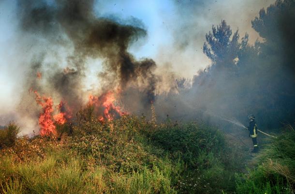 Italia: Șase români arestați după ce au făcut un grătar și au dat foc la o pădure