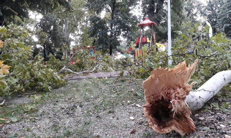 Furtuna din vest: medicii spun că numărul răniților crește la Timișoara Furtuna din vest: medicii spun că numărul răniților crește la Timișoara