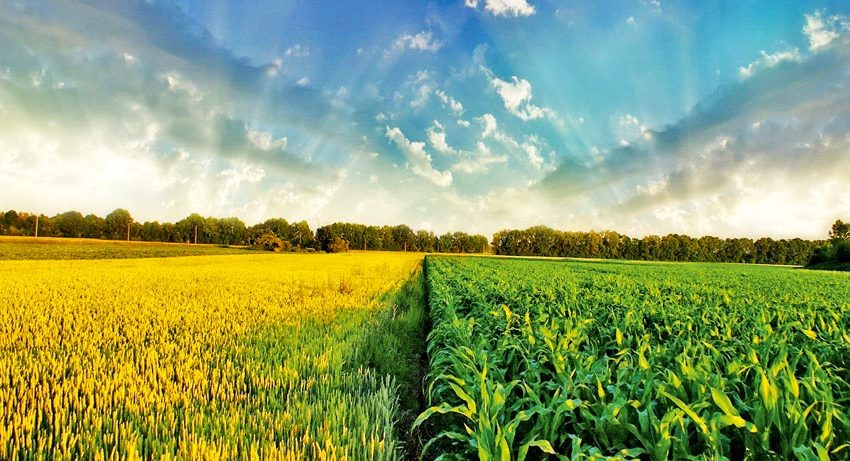 Astăzi va fi lansată o aplicaţie meteorologică extrem de utilă agricultorilor Astăzi va fi lansată o aplicaţie meteorologică extrem de utilă agricultorilor