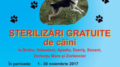 Sterilizare și castrare a câinilor gratuită în Caraș-Severin, prin WIOCA!