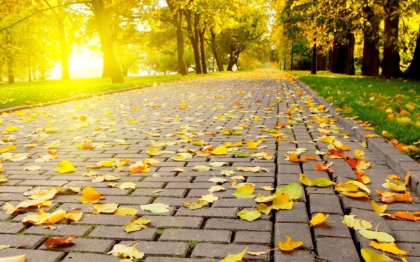 Toamnă frumoasă și călduroasă în Banat. Temperatura crește considerabil
