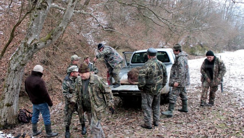 Vânătorii de pe Valea Cernei au luat ”în cătare”…planul de recoltă Vânătorii de pe Valea Cernei au luat ”în cătare”…planul de recoltă