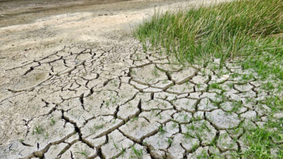 Schimbările climatice afectează grav sănătatea oamenilor