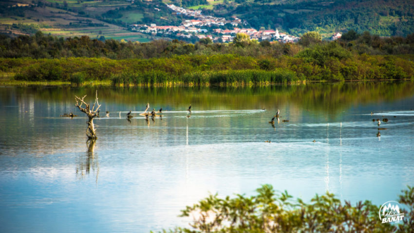 Supărare la Moldova Nouă Supărare la Moldova Nouă