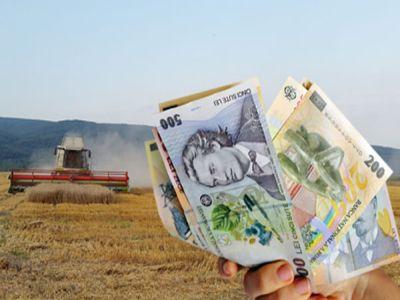 În Caraş-Severin, peste 75% dintre fermieri au primit avansurile din subvenţiile pe suprafaţă