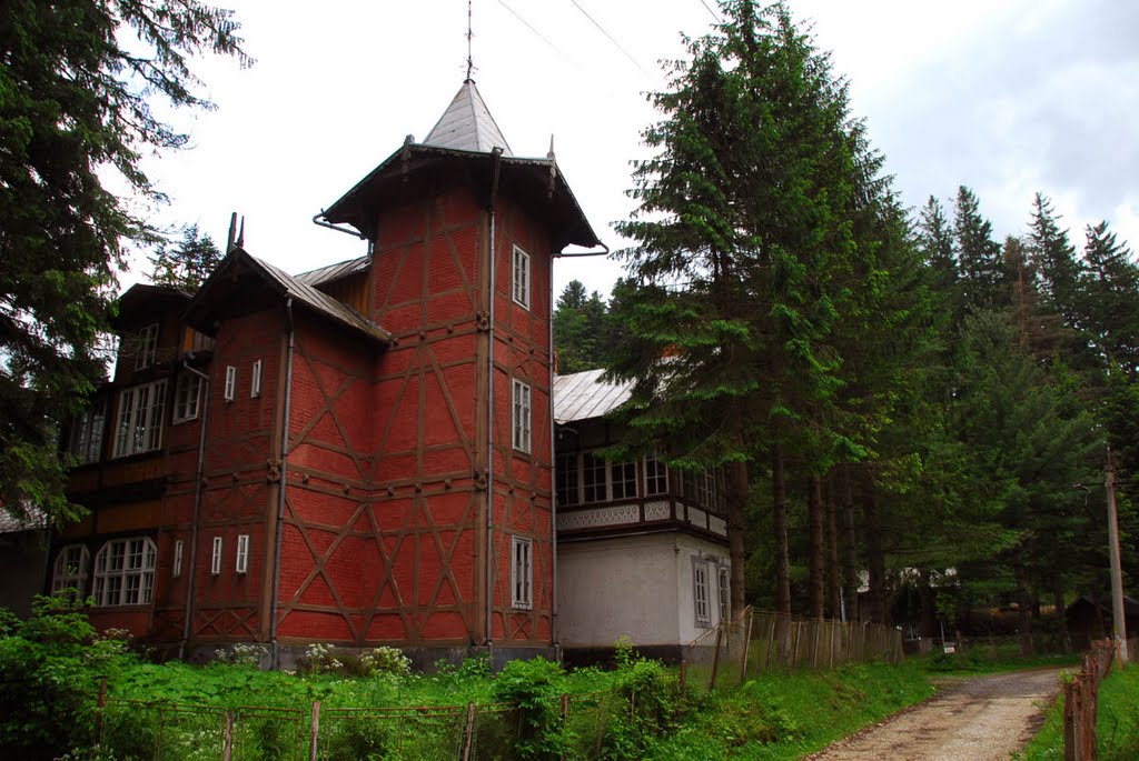 [FOTO] Regele Mihai a făcut un an de şcoală în Banatul de Munte, la Vila Klaus