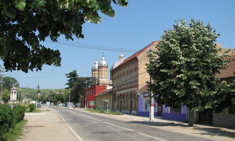 Grădinari fără apă! Grădinari fără apă!