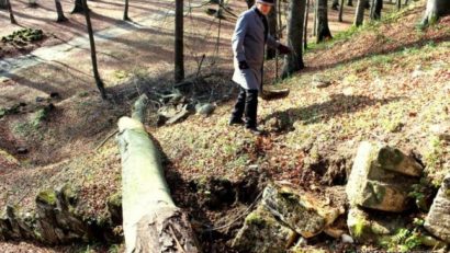 Arheologii susţin că Cetatea Sarmizegetusa Regia nu a fost afectată de tăierile copacilor bătrâni