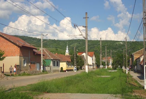 Cinci proiecte europene depuse, cinci câștigate! Cinci proiecte europene depuse, cinci câștigate!